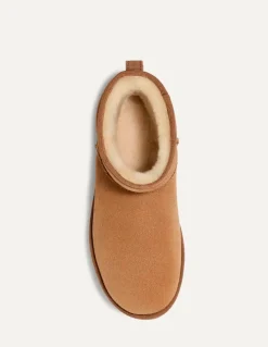 ugg Boots Homme Classic Mini Chesnut