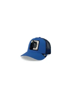 Online goorin bros Casquette The Panter Royal Blue