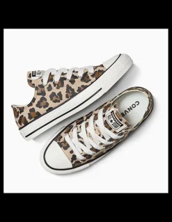Outlet converse Sneakers Femme ctas ox warm quarry/vintage Leo